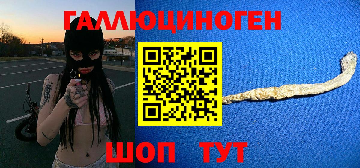 Курчатов  Псилоцибиновые грибы Cubensis  Вход с VPN 