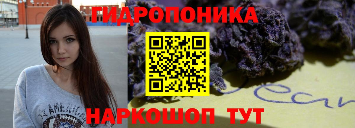 Курчатов  Шишки марихуана марихуана  Вход с VPN  Бошки марихуана SATIVA & INDICA 
